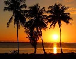 tramonto palme.jpg